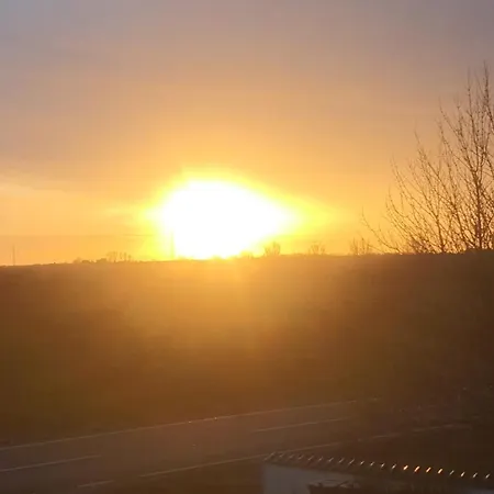 Artemis Zensha 住宿加早餐酒店 *